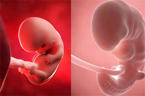 【火爆版】2025清宫图生男生女最新预测！清宫表预测宝宝性别真的准吗