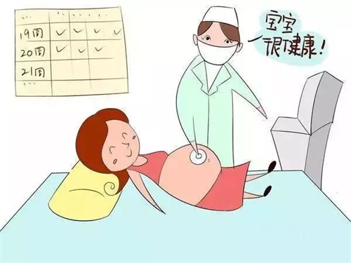 手把手教你看懂B超报告单看胎位！正不正就看这几个区域