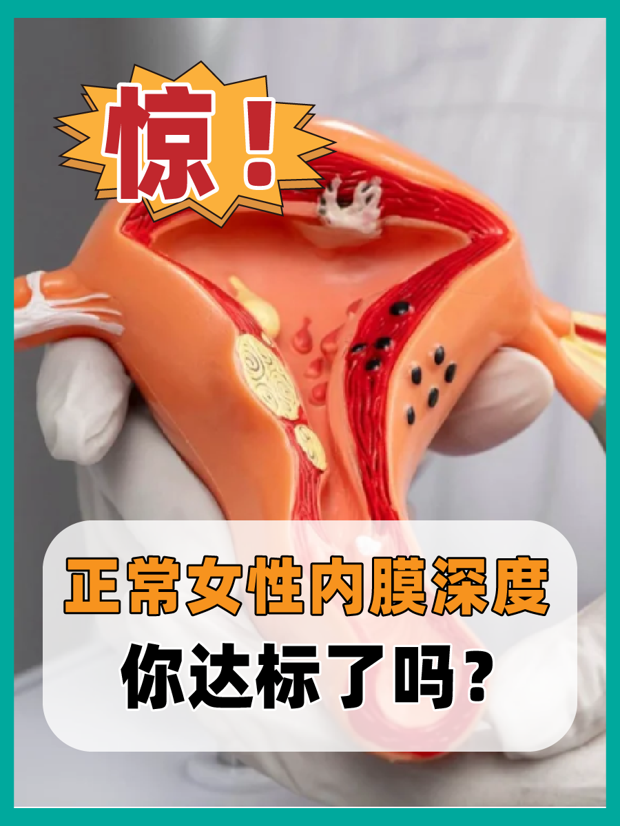 惊！正常女性内膜深度，,你达标了吗？