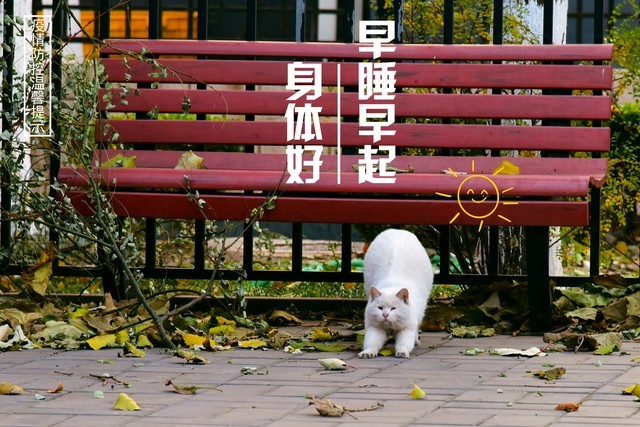今日绝日，老人最怕“绝日一日晴”！啥征兆？