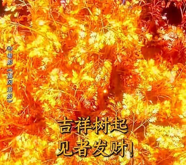 71岁的成龙还能打得动吗 硬汉精神依旧