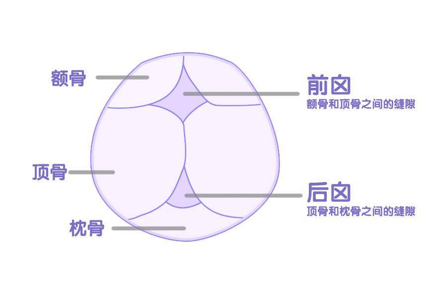 宝宝囟门这个时候还没有闭合，真就要注意了
