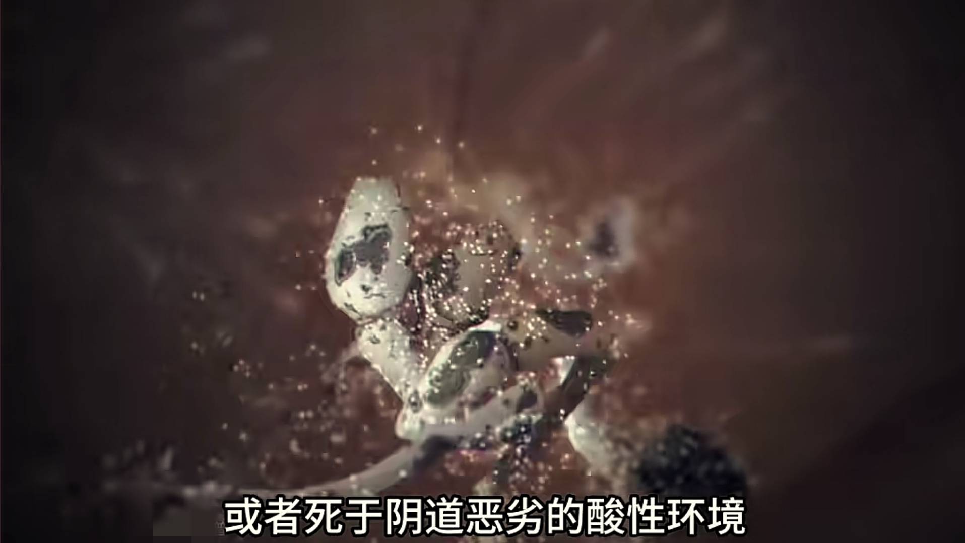 进入体内后,没能和卵子结合成功的上亿精子去哪了?