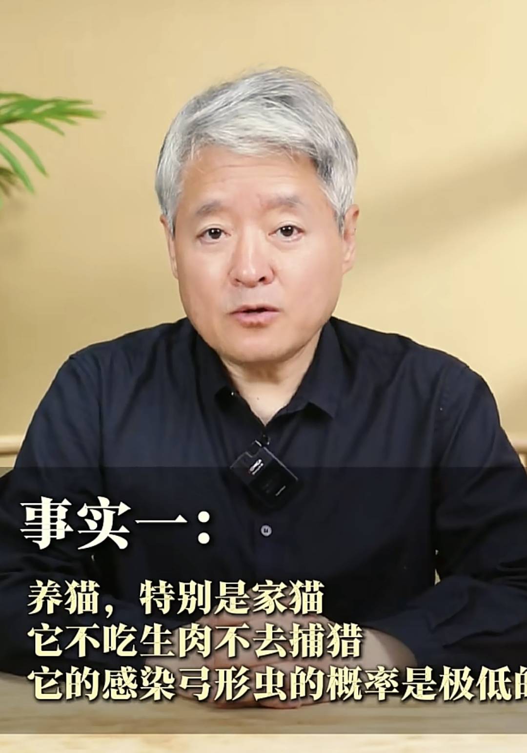 社区医生:怀孕别养猫了,二手烟反倒没事!孕妇无语了