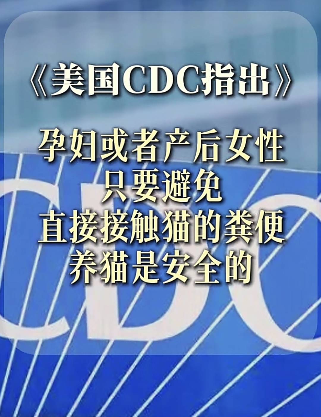 社区医生:怀孕别养猫了,二手烟反倒没事!孕妇无语了