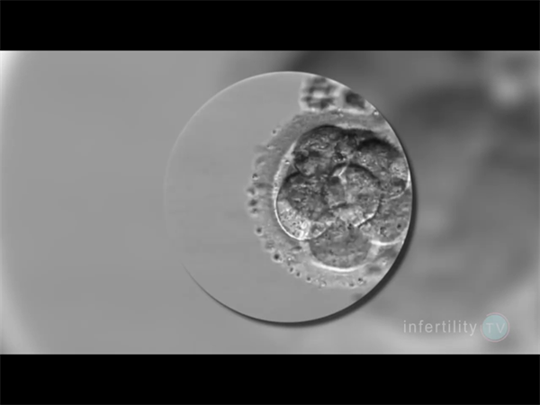 胎梦里的温柔暗示:梦见月亮、珍珠、蝴蝶大概率生女儿?